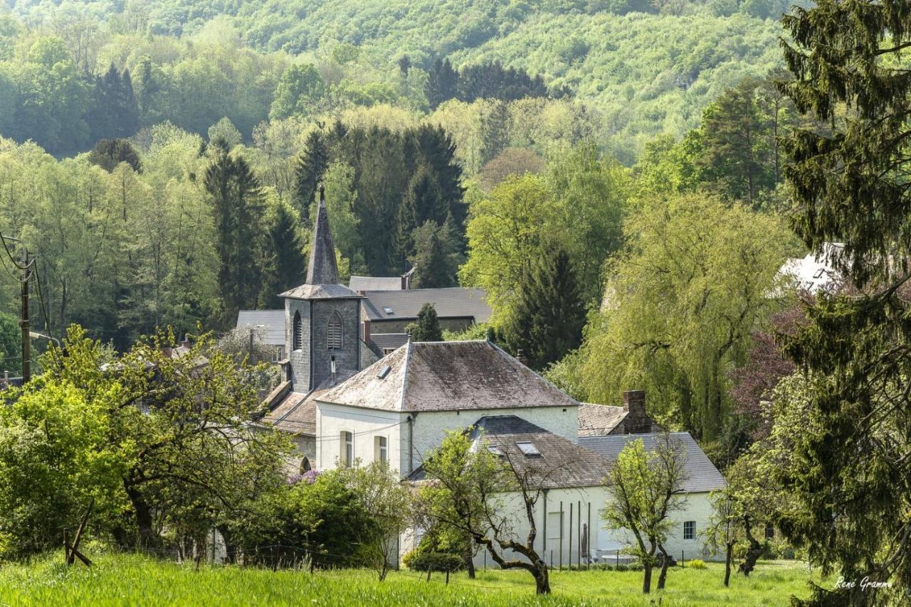 Gezellige Villa Met Open Haard En Zonnige Tuin. Doische Kültér fotó